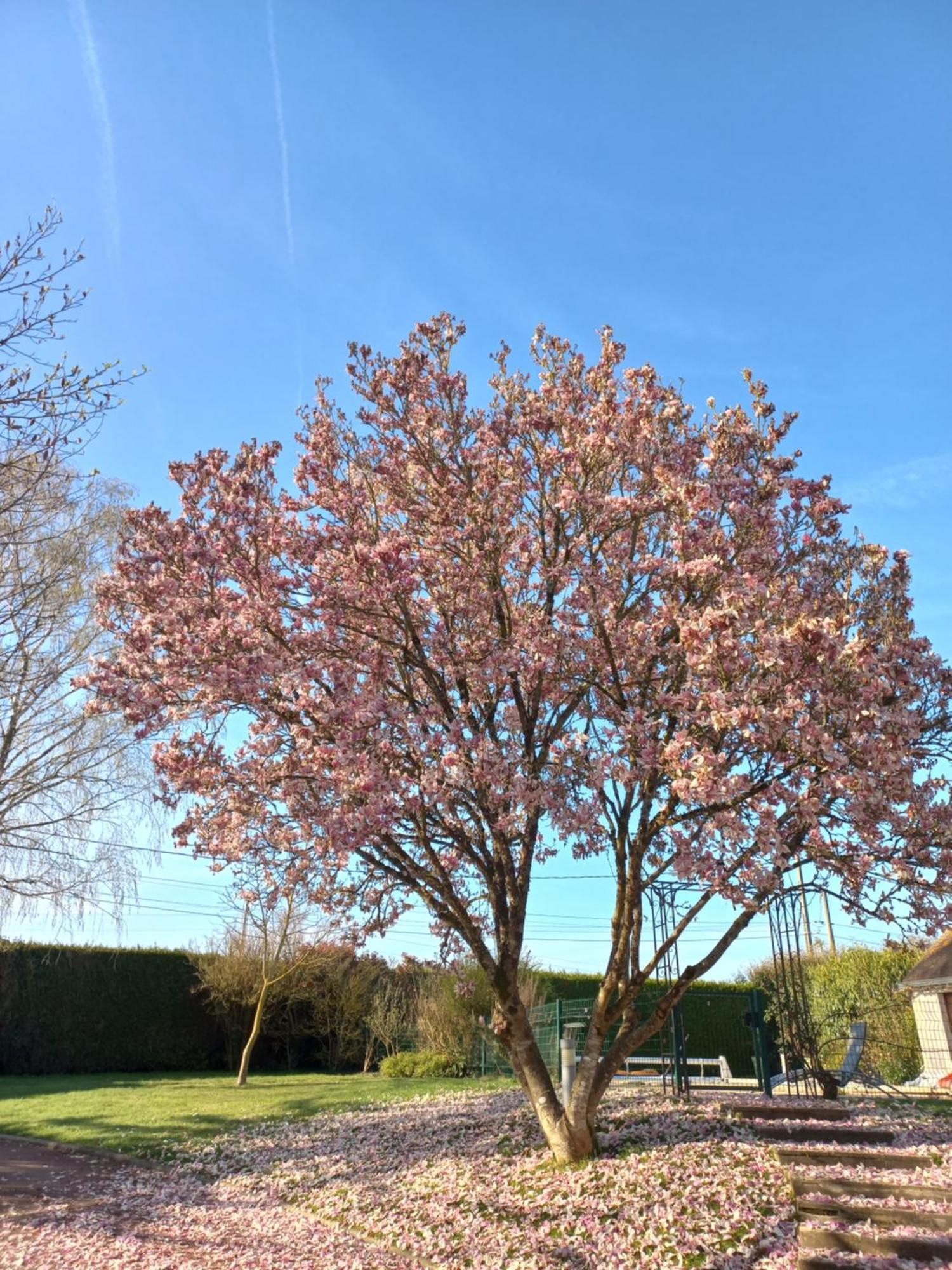 Homestay La Ferme Du Bonheur Nouzilly
